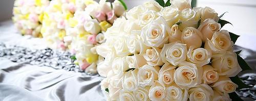 How to Start Your Wedding Planning,