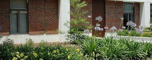Sustainable landscaping solutions