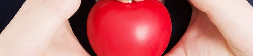 Warmest Wishes on Valentine’s Day
